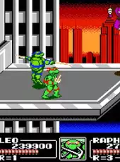 Teenage Mutant Ninja Turtles III: The Manhattan Project