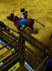 Professional Bull Riding: Out of the Chute