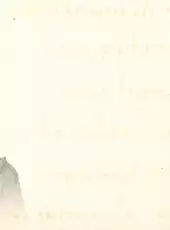 Secret Files 2: Puritas Cordis