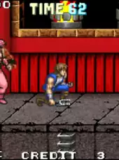 Double Dragon Advance