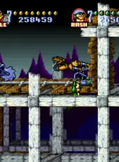 Battletoads In Battlemaniacs