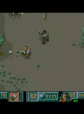Soldiers of Fortune