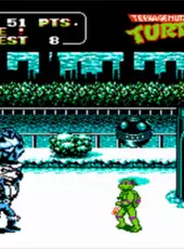 Teenage Mutant Ninja Turtles II: The Arcade Game