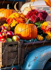 Master of Pieces Jigsaw Puzzle: Golden Season