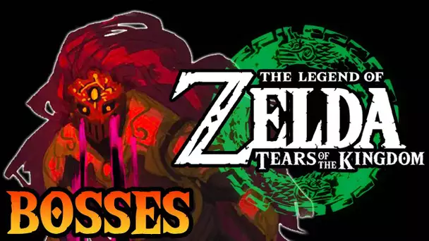 New Zelda: Tears of the Kingdom Bosses!