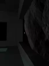 0x10c
