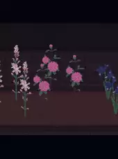 Eternal Home Floristry