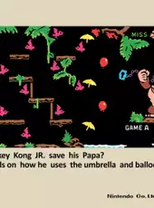 Donkey Kong Jr.