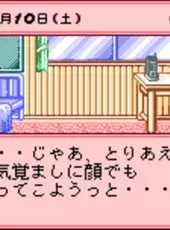 Pocket Love: If