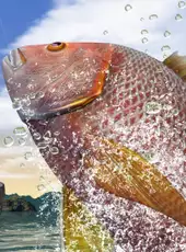 Reel Fishing: Days of Summer