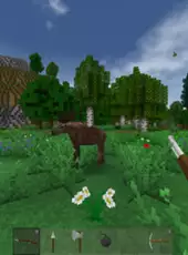 Survivalcraft 2