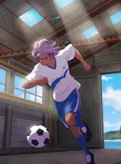 Inazuma Eleven: Victory Road