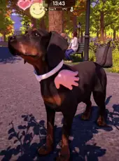 Animal Shelter 2: Hunting Dogs Pack