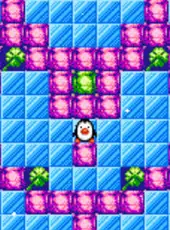 Lucky Penguin