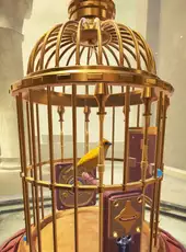 The Birdcage