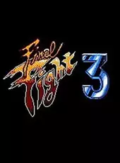 Final Fight 3