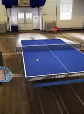 Table Tennis Touch