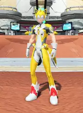 Phantasy Star Online 2: Tails Collaboration Pack