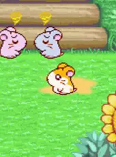 Hamtaro: Ham-Ham Heartbreak