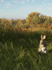 TheHunter: Call of the Wild - Salzwiesen Park