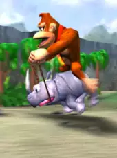 Donkey Kong Racing