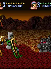 Battletoads In Battlemaniacs