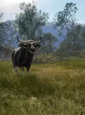theHunter: Call of the Wild - Emerald Coast Australia