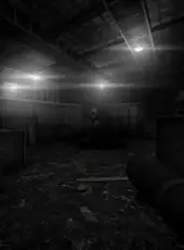 Days Without Incident