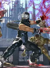 Ninja Gaiden II